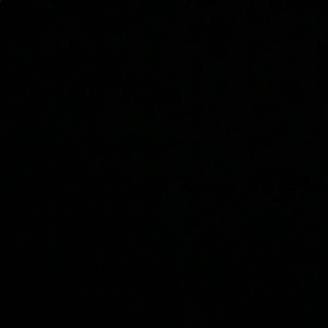 Meet your Posher, Will